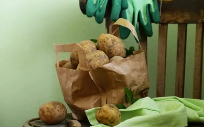 CAR é prorrogado! Apenas para pequenos produtores…